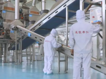 2025年的第一個(gè)月，承德亞歐果仁有限公司在山杏產(chǎn)業(yè)的道路上持續(xù)奮進(jìn)，展現(xiàn)出蓬勃的發(fā)展活力。